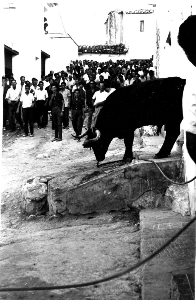 El torico 1965